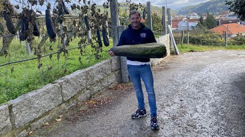 Juan Carlos Mascato, director tcnico de Ibrica de Esponjas Vegetales, empresa de Caldas de Reis dedicada a la fabricacin de esponjas y estropajos ecolgicos