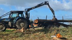 La actividad forestal: aserraderos que construyen barcos