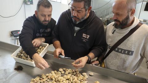 El patrón mayor y el biólogo miden junto a otro socio las almejas reló.