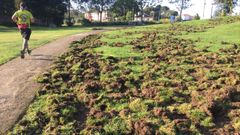 Imagen de archivo de algunos de los destrozos en zonas verdes de Oleiros