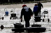 El plan de explotaci�n marisquera vigente permite once d�as de trabajo mensuales.