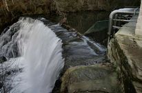 La captaci�n del r�o Asneiro, en Pozo Negro, surte la tra�da municipal de aguas de Lal�n.