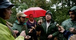 Recolecci�n de setas dirigida este oto�o por un mic�logo en el concello ourensano de A Veiga. 