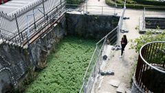 Desprendimientos en un lateral del estanque de la Gruta en el 2017 aceleraron el proyecto de rehabilitaci�n del parque