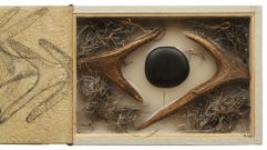 Detalle del libro-caja titulado �Contacto Nocturno� y compuesto por cuatro p�ginas de papel de fibras vegetales y papel de aceite de linaza con dibujos a l�piz y puntos de fuego, dos cuernas de ciervo del Valle de Alcudia, obsidiana de r�o de M�xico y bromelia de Houston (Texas) sobre parafina y serr�n de cuernas. Esta obra forma parte de �La Biblioteca del Bosque� iniciada por Miguel �ngel Blanco en el invierno de 1985 y compuesta en la actualidad por 1.130 libros-caja