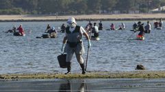 La r�a de Pontevedra recupera sus mariscadoras por primera vez desde marzo