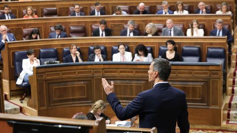 Pedro S�nchez, durante la sesi�n de control al Gobierno en el Congreso