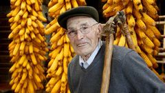 Evaristo desgranando maiz