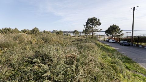 Lo primero ser� comprar los terrenos y adecuar la parcela