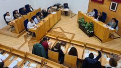 �ltimo pleno del Concello de Nar�n