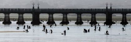 <span lang= es-es >El emblema de la comarca</span>. La isla de A Toxa es, desde hace m�s de cien a�os, el emblema tur�stico de la r�a de Arousa. El puente construido para facilitar el acceso de los hu�spedes al Balneario, a comienzos del siglo pasado, se ha convertido en uno de los s�mbolos indiscutibles de la comarca. Si a ello a�adimos el trabajo de las mariscadoras, se compone una estampa perfecta. 