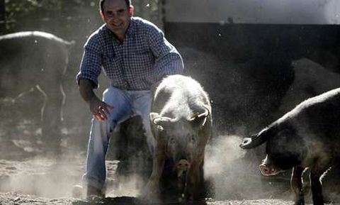 Los ganaderos de Pet�n han dado empleo a cuatro personas con el proyecto.