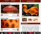 La aplicaci�n identifica la especie con fotos y nombre.