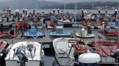 La campa�a deber�a de haber empezado el pasado lunes d�a 20 