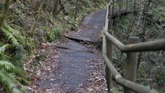 El deterioro en los paseos de madera, en im�genes