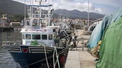 La flota del certo de Portos�n es de las m�s importantes