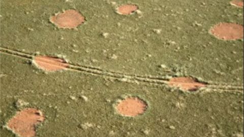 C�rculos de Hadas en Namibia
