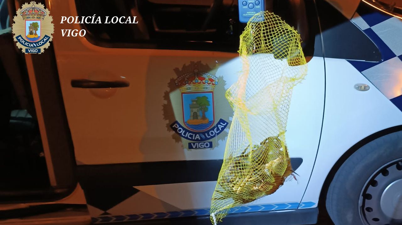 Drones de la Policía Local de Vigo interceptan a tres furtivos con nueve kilos de centollos y nécoras