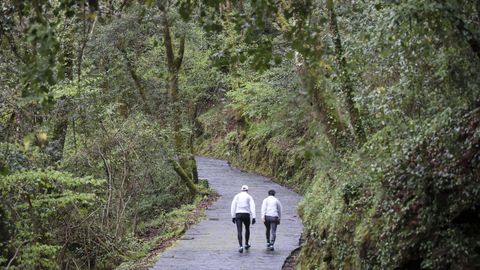 Dos personas suben al monasterio de Caaveiro, en las Fragas do Eume, en una de archivo.