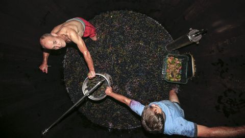 En vinos como Pombeiras se aprovecha el racimo entero en su totalidad