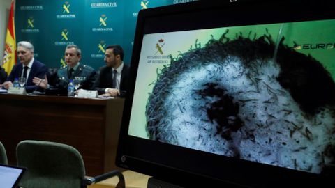 De izquierda a derecha, el jefe del Centro de Crimen Organizado y Grave EUROPOL, Jari Liukku; el teniente coronel del Servicio de Protecci�n de la Naturaleza (Seprona) de la Guardia Civil, Jes�s G�lvez; y el inspector-director de la Autoridad de Seguridad Alimentaria y Econ�mica (ASAE) de Portugal, Hugo Alexandre Matos, informan de que la Guardia Civil ha asestado un nuevo golpe al tr�fico ilegal de angulas