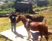 Enrique Vaqueiro con sus dos caballos en su finca de Pigarzos. 