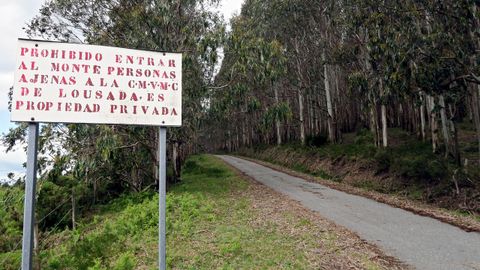 El accidente ocurri en el ao 2017 en una finca de los montes de Lousada, en Xermade