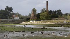 As actividades humanas tradicionais deron forma �s zonas protexidas.