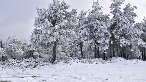 Otro aspecto del paisaje nevado en el camino al pico de Catro Cabaleiros