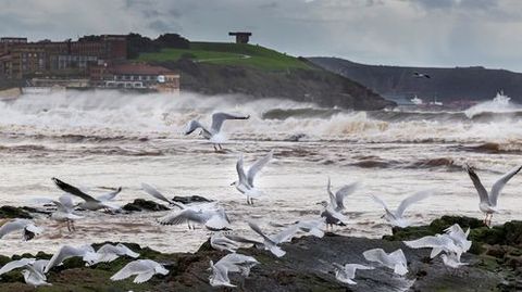 Oleaje en la bah�a de Gij�n