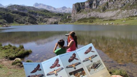 Avistamiento de aves en Lagos de Covadonga