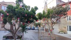 La plaza San Gregorio est� vestida de Navidad