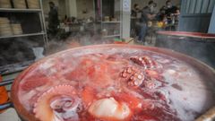 El pulpo reina en el San Froil�n