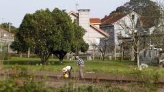 Imagen de archivo de una plantaci�n particular