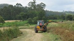 Campa�a de desbroce en un a�o anterior