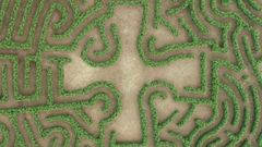 Labirinto De Breogh�n