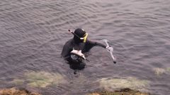 Imagen de archivo de un aficionado a la pesca submarina con su fusil y una captura