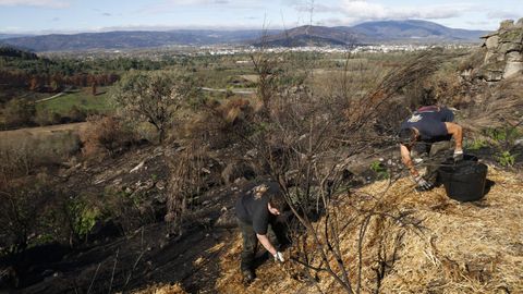 Alumnos de Vern y Xinzo participaron en la salida al monte.