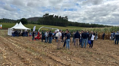 Ganaderos en uno de los campos donde se celebr la jornada