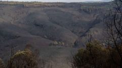 Montes de A Pobra afectados por el incendio del pasado mes de julio
