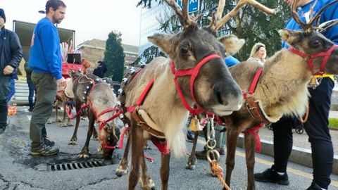Preparando cabalgata de Pap� Noel en Oviedo
