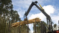 En Outeiro de Rei hay notable actividad forestal