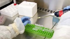 Laboratorios del CiMUS de la Universidade de Santiago, de donde surgieron las investigaciones