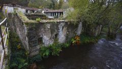 Imagen del 2009 de las ruinas de Frdegas junto al ro Ulla, en el municipio de Antas de Ulla