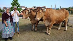 Festa do Labrego en Vilari�o