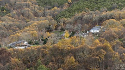 Una vista general de la aldea de Vilari�o, rodeada de numerosos casta�os