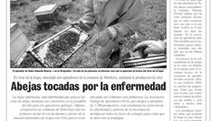 Una página de La Voz publicada en mayo de 1999 informó sobre la propagación de la plaga de loque americana en el sur lucense