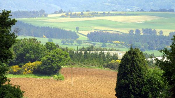 Imagen de archivo de un paisaje agrario gallego