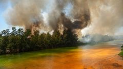 Columna de humo del fuego registrado en Castillejos (Huelva)