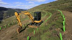 Plantaci�n del empresario Lorenzo L�pez entre Vilar de Ortelle y At�n